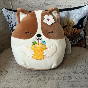 NWT dog squishmallow